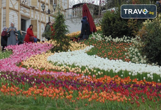 Фестивал на лалето в Истанбул! 5 дни, 3 нощувки, закуски и транспорт от Надрумтур 2019 - Снимка 15