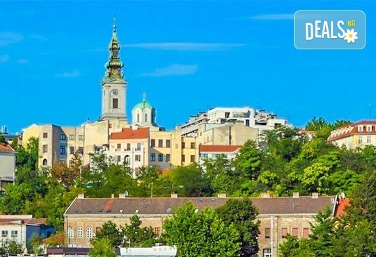 Екскурзия до Белград за Бирфест 2024! 1 нощувкa със закуска в хотел 3*, посещение на Ниш и транспорт от Дениз Травел - Снимка 5