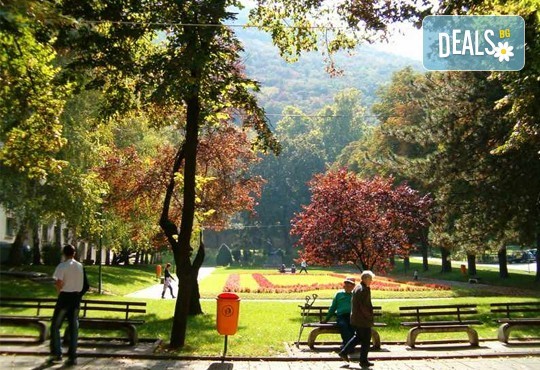 Нова година в Нишка баня, Сърбия! 2 нощувки със закуски и празнични вечери на 30.12 и 31.12, транспорт, посещение на Пирот и Ниш, от ТА Поход - Снимка 3