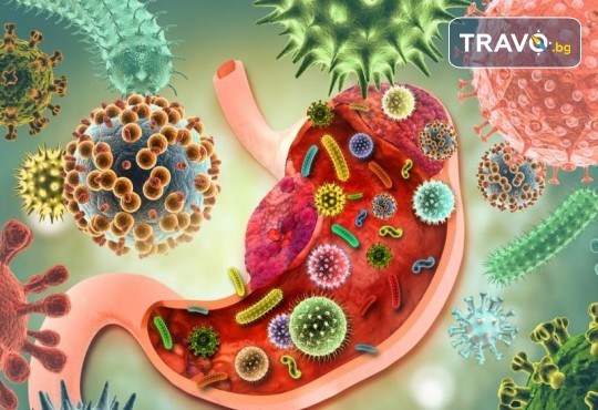 Изследване на чревен микробиом в СМДЛ Кандиларов - Снимка 1