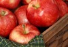 Един или два килограма домашен щрудел с ябълка, орехи и канела на хапки от Работилница за вкусотии РАВИ! - thumb 2