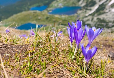 Еднодневна екскурзия на 23.06. до Седемте Рилски езера с транспорт и планински водач от Еволюшън Травел! - Снимка