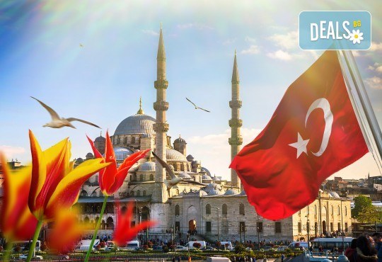 Ранни записвания за екскурзия за Фестивала на лалето в Истанбул през 2020! 2 нощувки със закуски в хотел 3*, транспорт и екскурзовод от Еко Тур! - Снимка 1